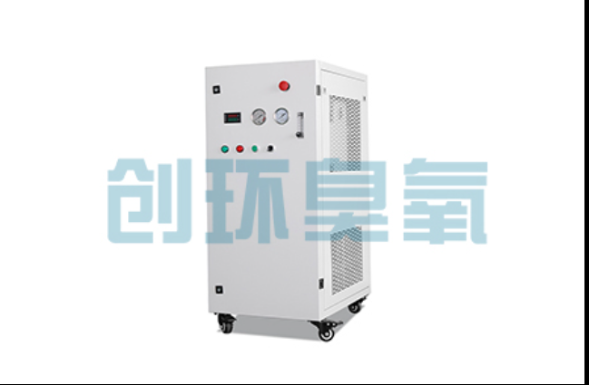 咸阳工厂化养鲈必看:2026年臭氧发生器替代传统消毒的最新方案