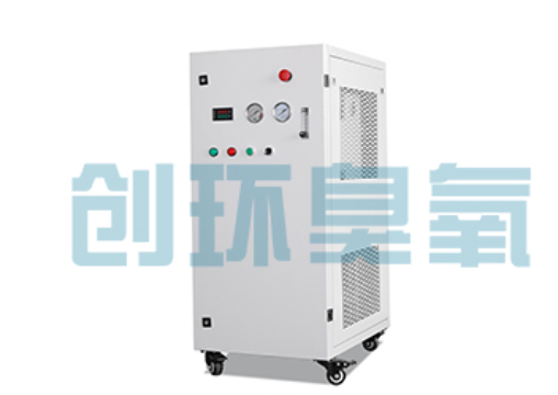咸阳石斑鱼养殖水质调控完整指南:臭氧发生器配置与操作步骤