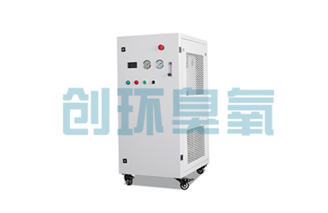 咸阳比传统换水更高效?臭氧发生器在石斑鱼养殖中的水质净化原理解析